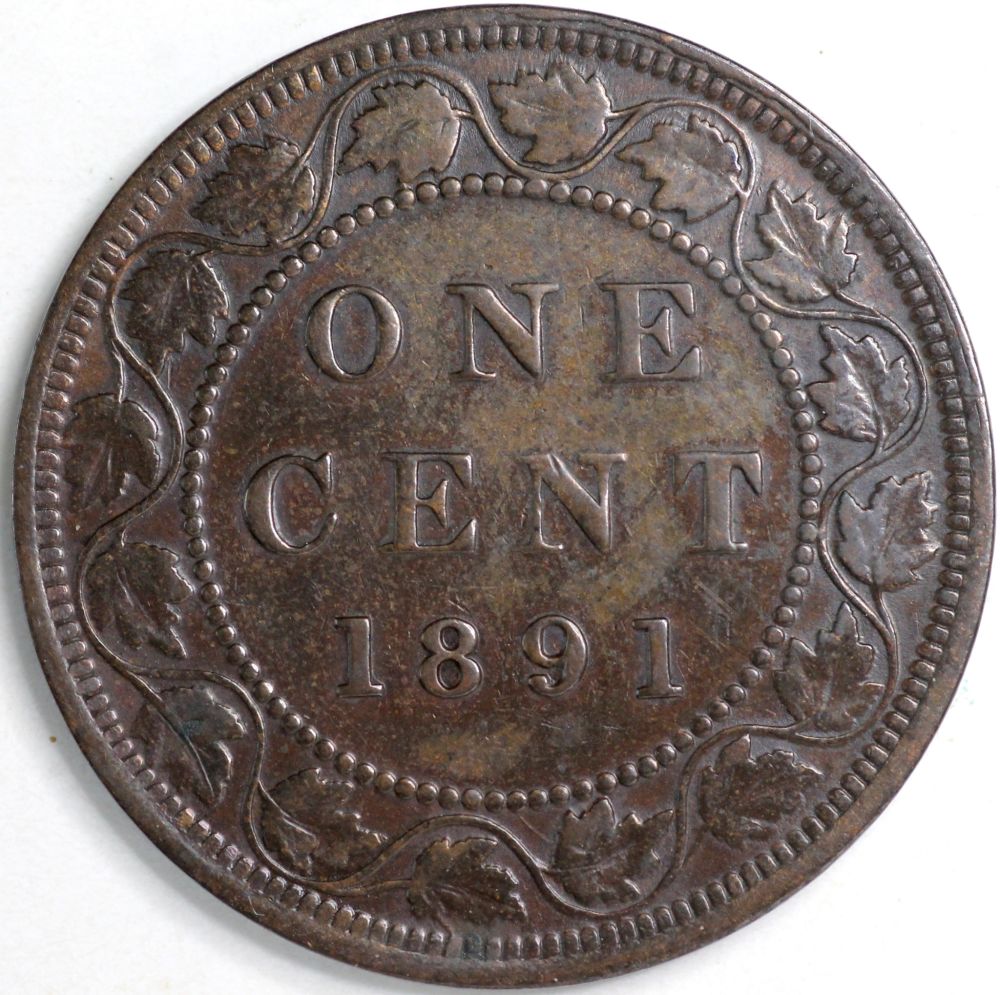 Help-With-This-1891-Large-Cent