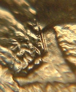 North-Dakota-Quarter-Doubling??