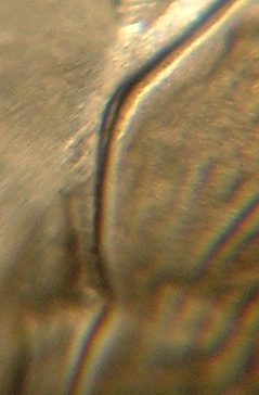 North-Dakota-Quarter-Doubling??