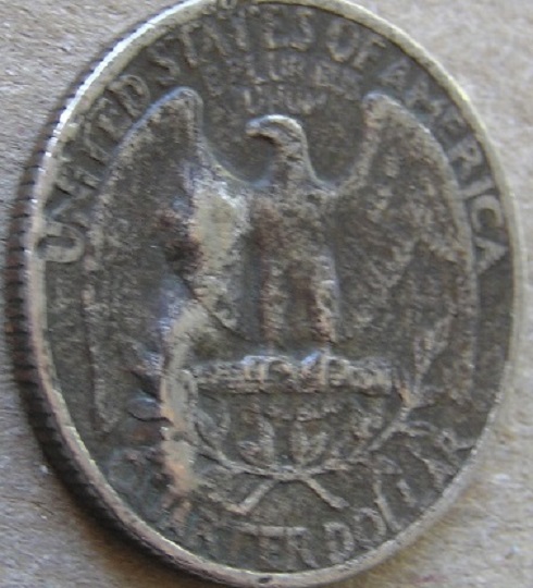 Huge-Cud-On-Damaged-Quarter:-Real-Or-Faked-Cud?-Looks-Real,-Any-Value?