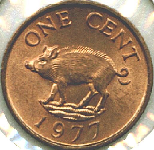 Farm-Animals-On-Coins!