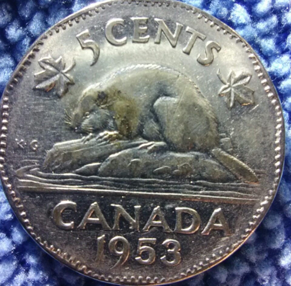 Are-These-53-NSF-Worth-Grading?