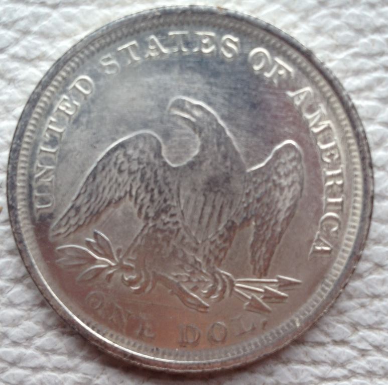 One-Dollar-1871---Pictures-Added