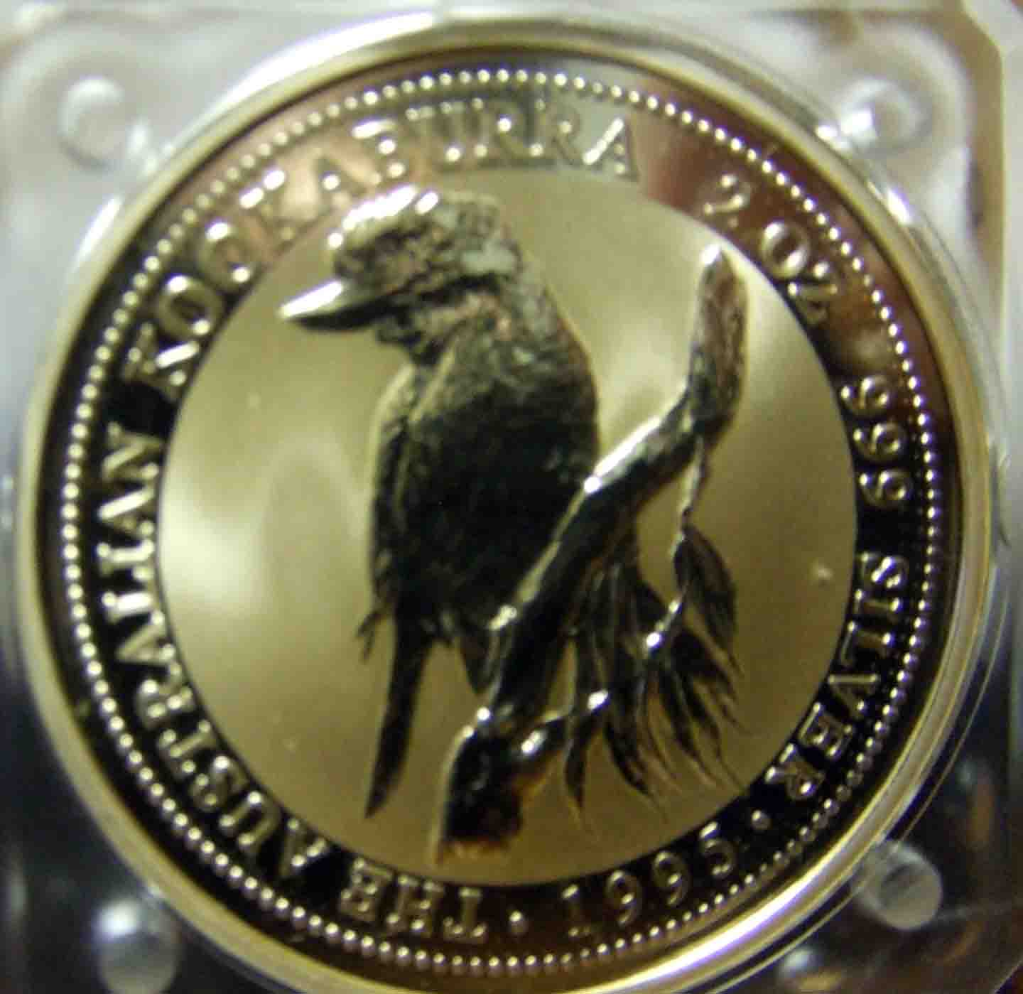 Kookaburra-Gold?