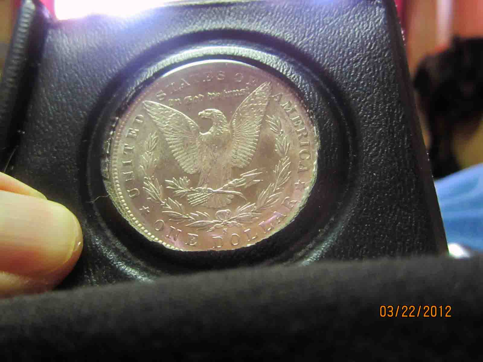 1881-S-Morgan-Dollar-Opinion