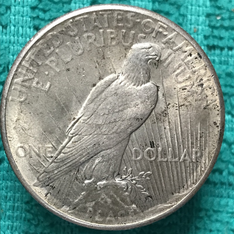 1928-P-Peace-Dollar--Coin-Two-Of-Two.-Grade-Request-Please.