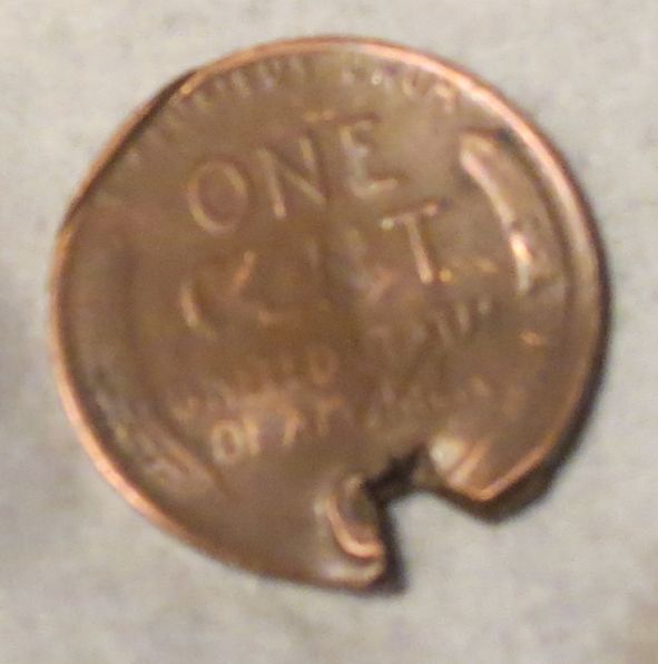 Todays-Treasure.