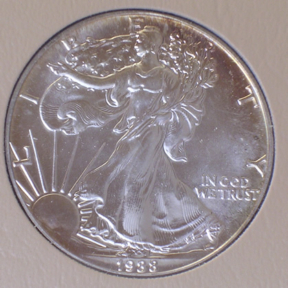 Dansco-7070-Tarnishing-Coins