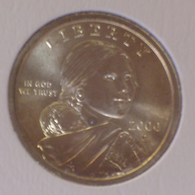Dansco-7070-Tarnishing-Coins