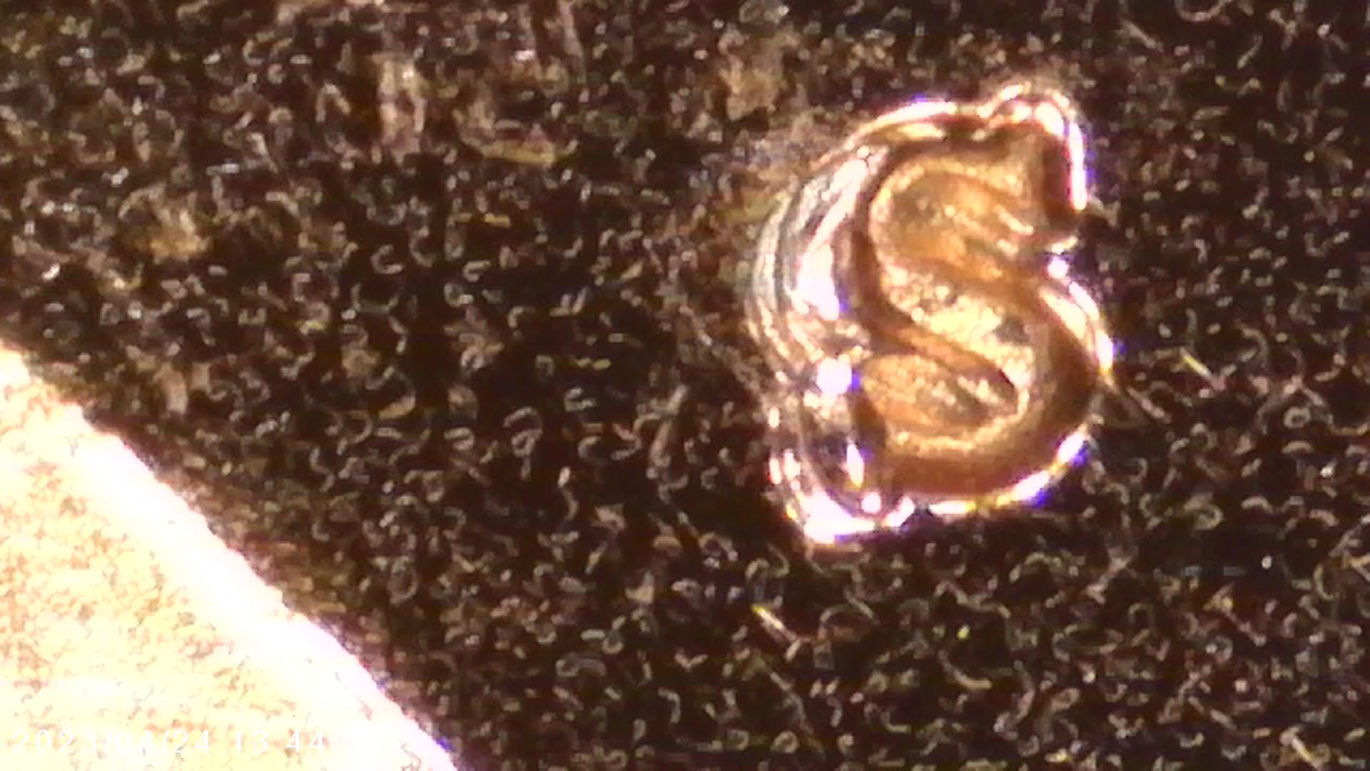 1984-S-Proof-Lincoln-Cent-Uncirculated-Error?