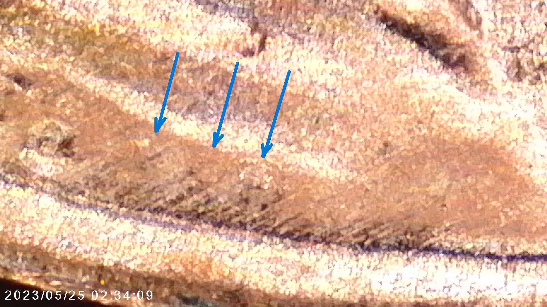 2023-Lincoln-Cent-Extra-VDB
