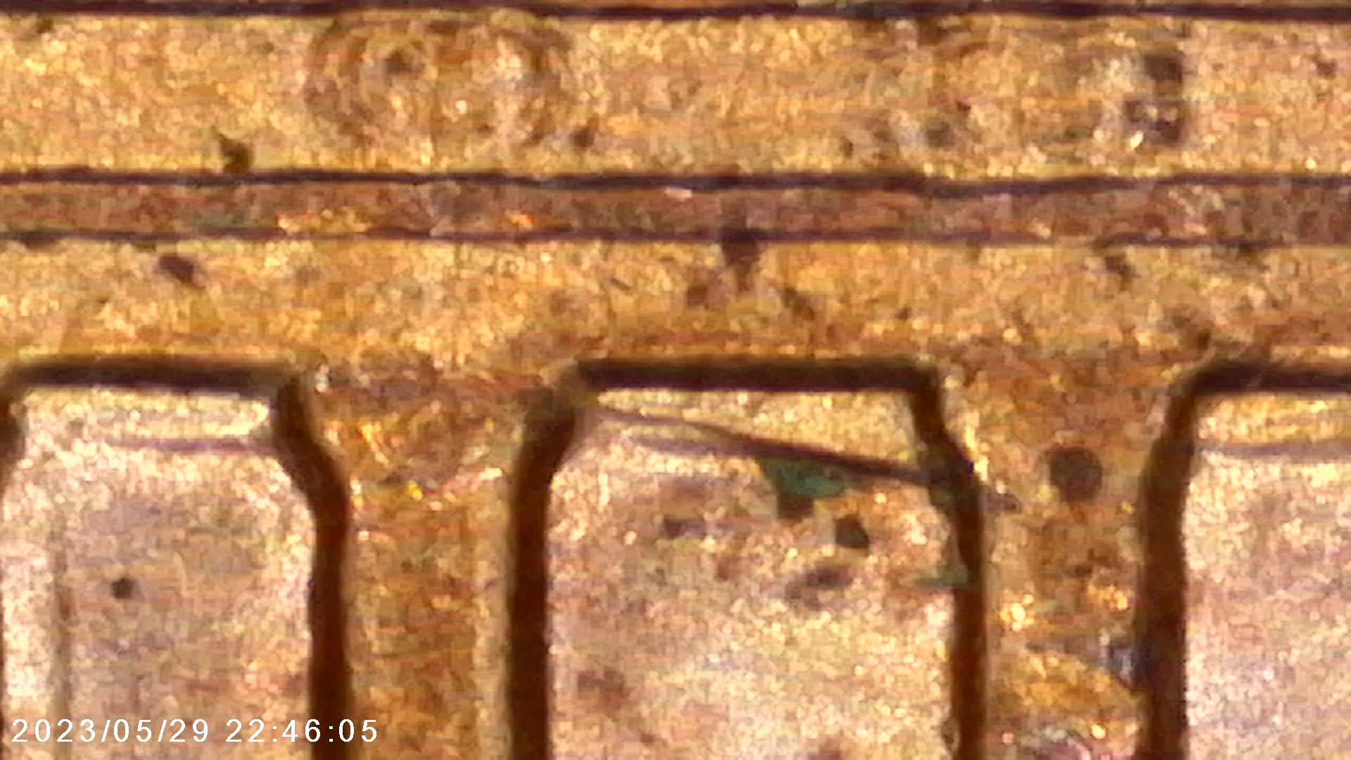 1998-D-Lincoln-Cent-WDDR-001