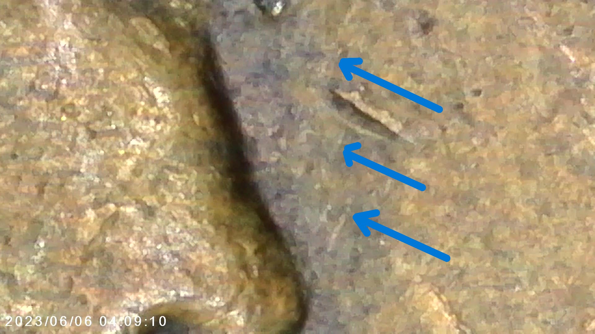 1960-D-Lincoln-Cent-RPM-007