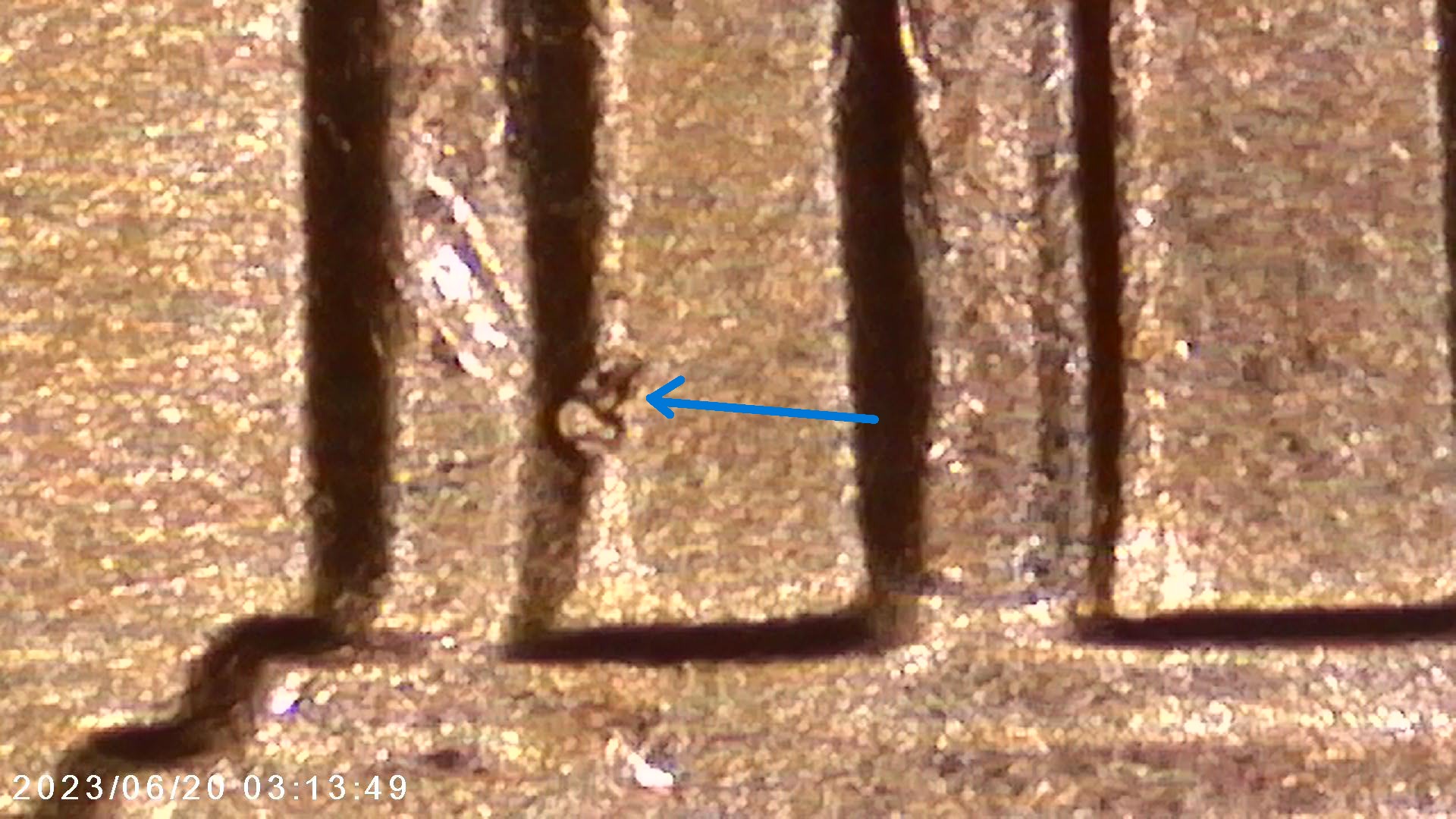 1970-S-LMC-Small-Date---WDDR-028?