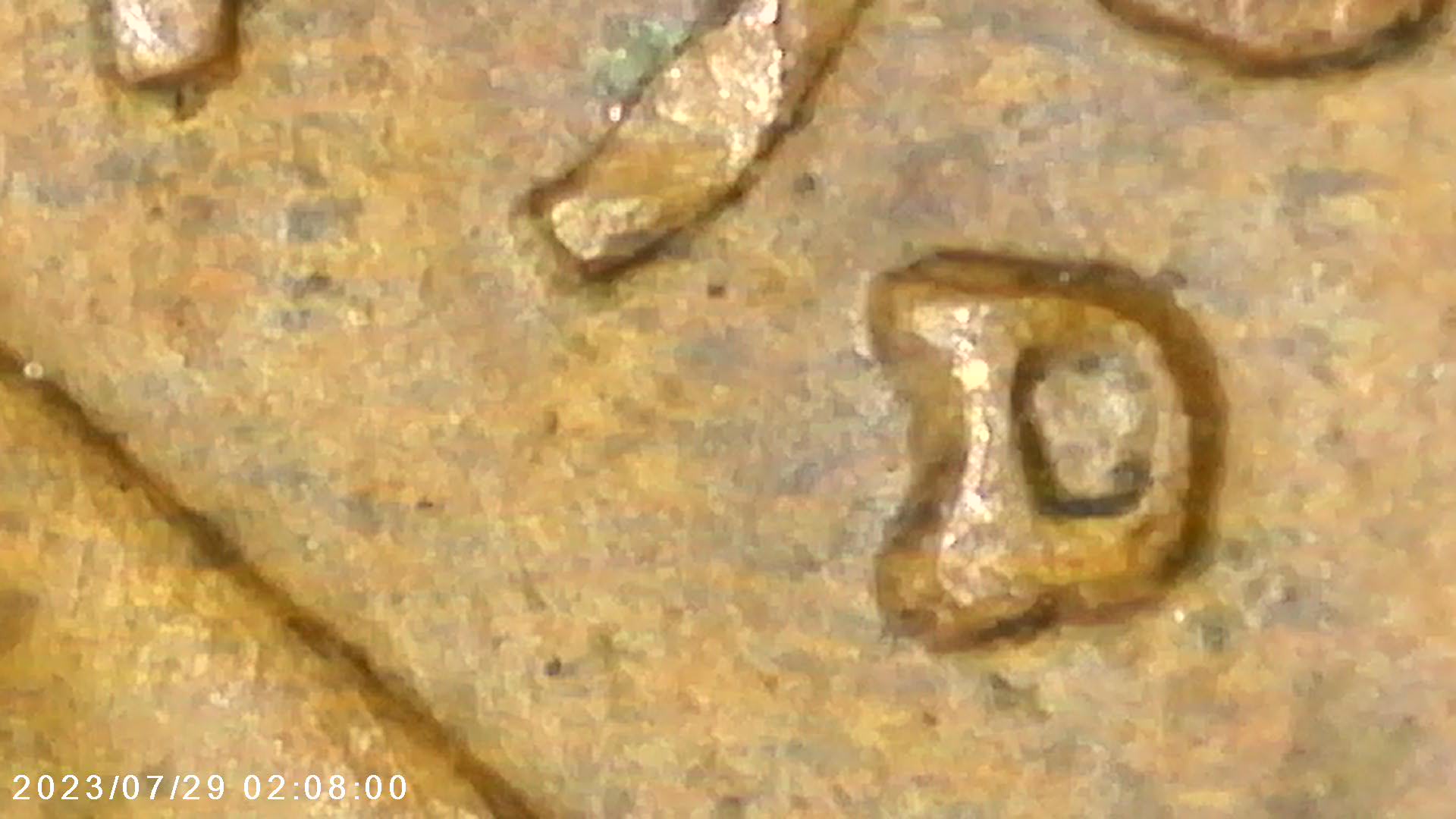 1960-D-LMC-1mm-168-MDS-/-RPM-061?