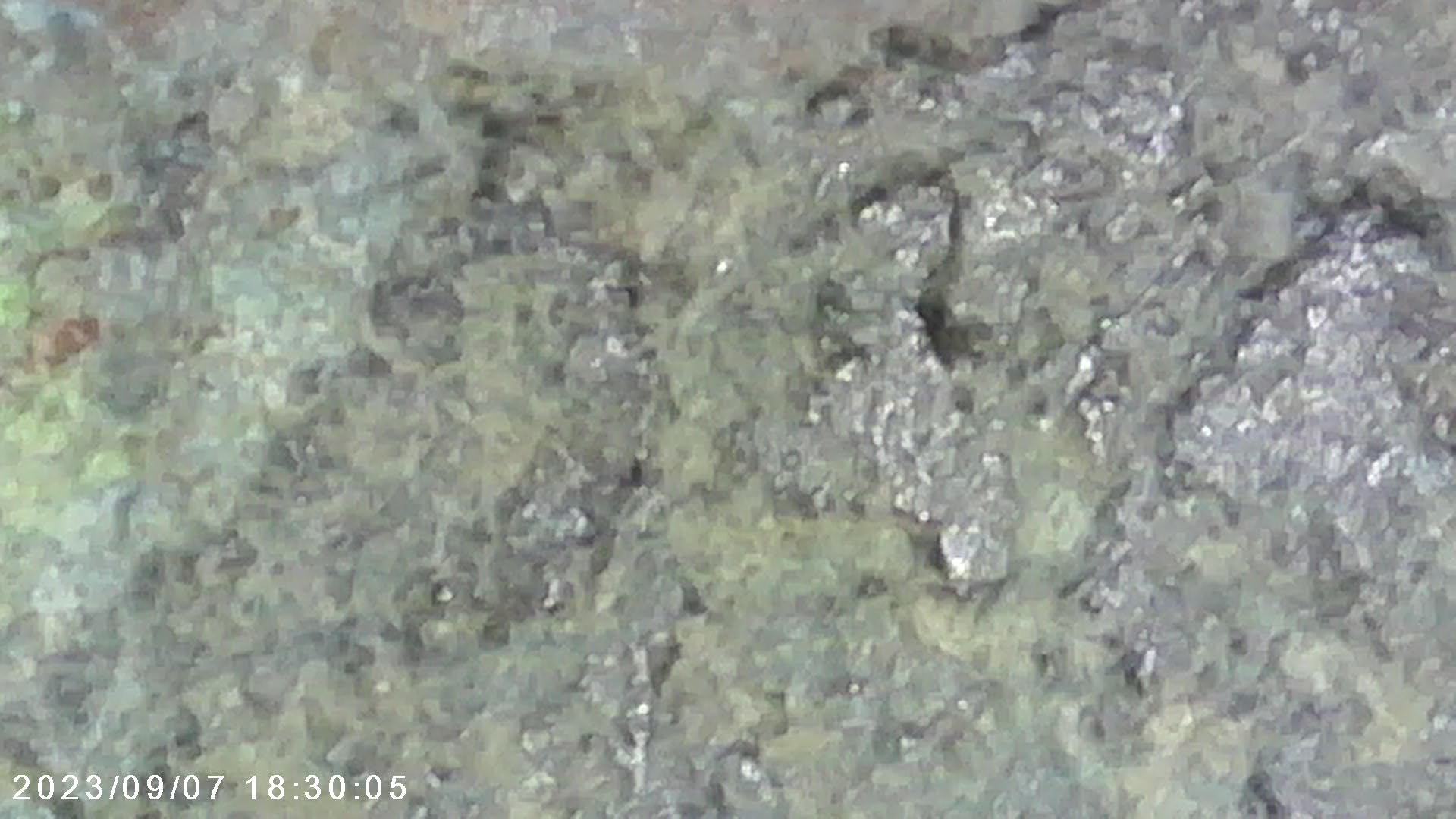 Possible-1914-D-LWC-Needs-Conservation