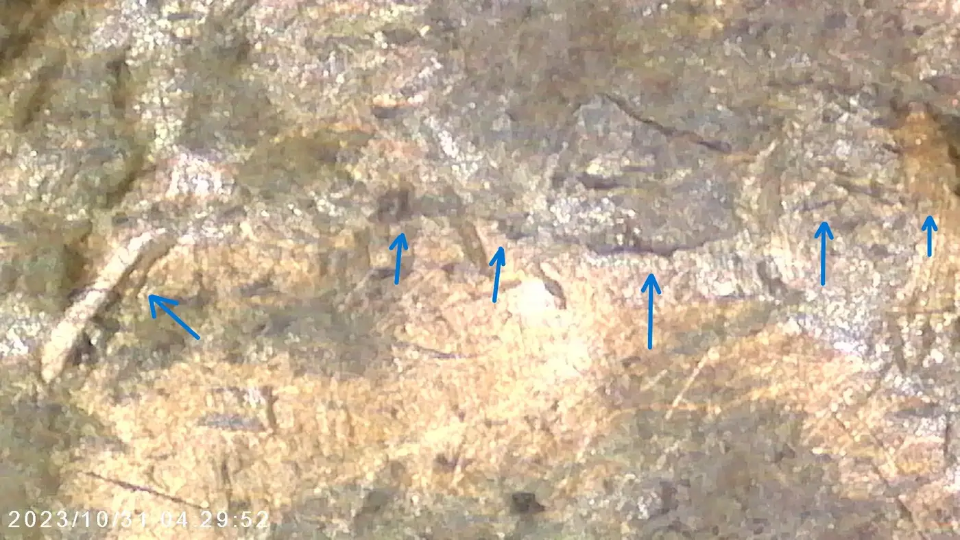 1956-LWC-BIE---Ldb4-1956-004c
