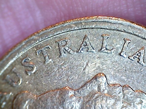 Noodling-Find-Of-The-Week?