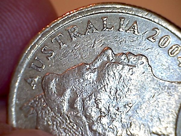 Noodling-Find-Of-The-Week?