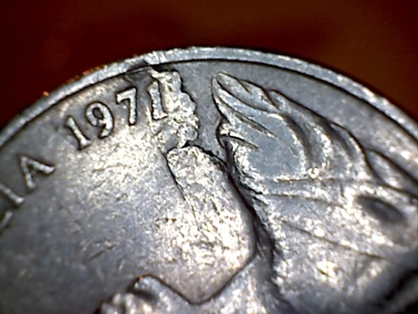 Noodling-Find-Of-The-Week?