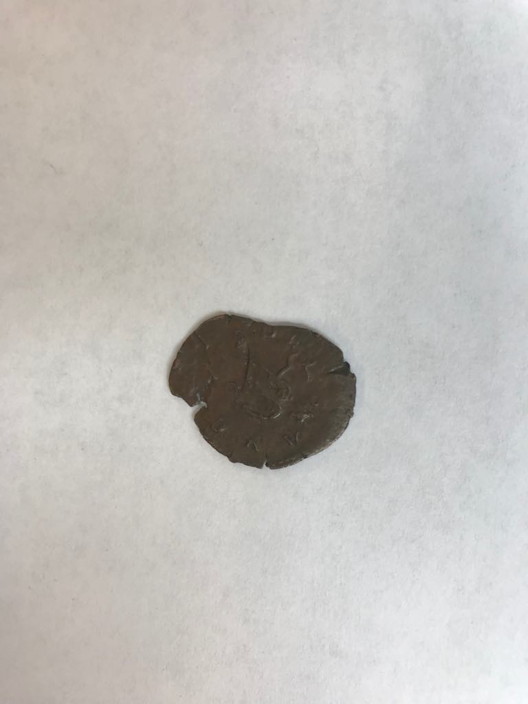 Please-Help-Me-Indentify-Coin
