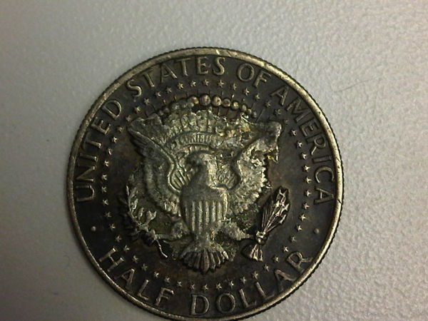 Is-This-A-Kennedy-Cud?