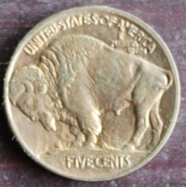 Buffalo-Grading