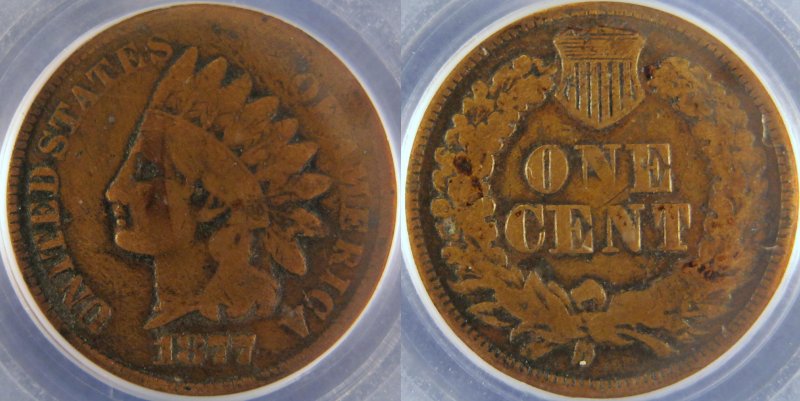 Your-12-Favorite-19th-Century-Coins!