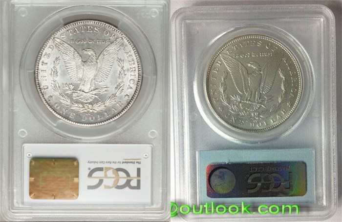 1889-CC-Morgan-Dollar-PCGS-MS-63.-How-Scary-Is-This?