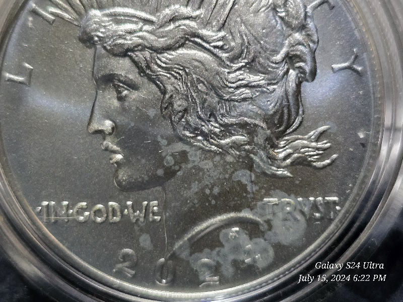 2024-Peace-And-Morgan-Dollars!