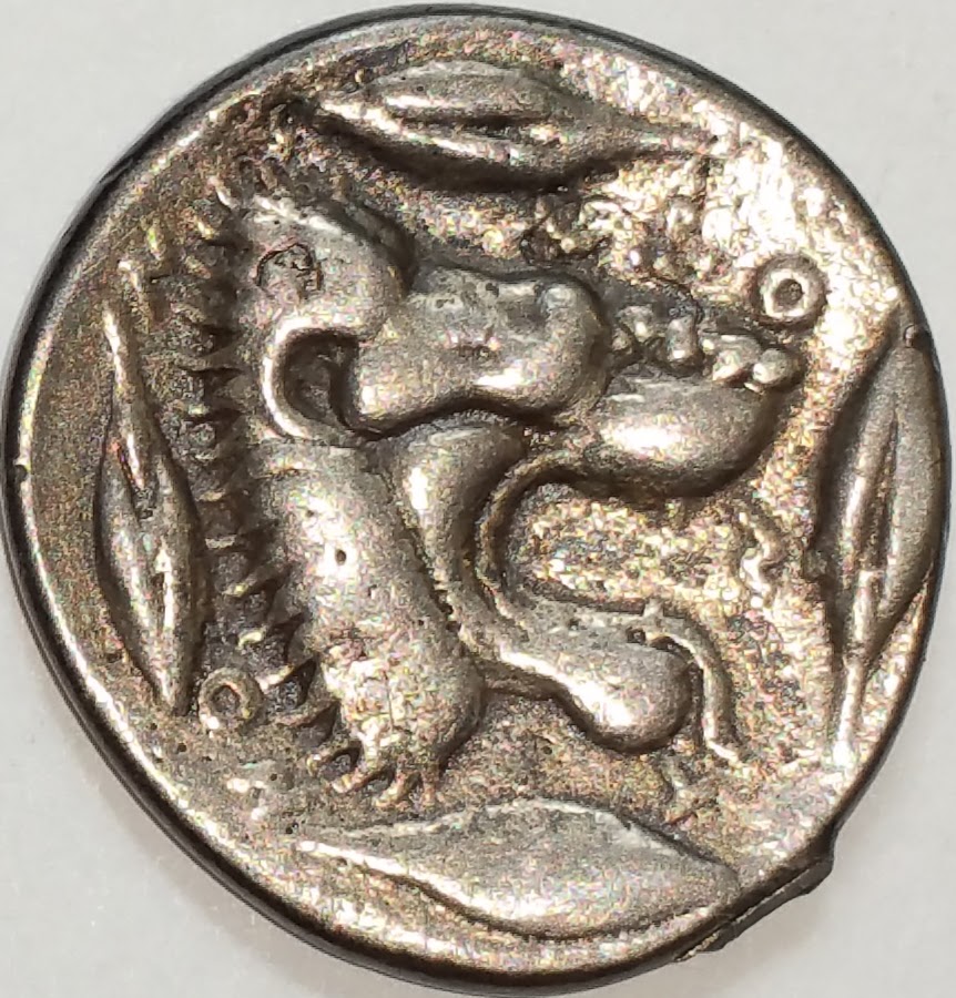 Coin:-One-Side-Mans-Head-/-Other-Side-Lions-Head