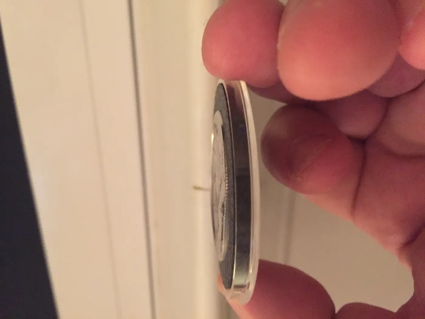 2017-Palladium-Eagle-Error?