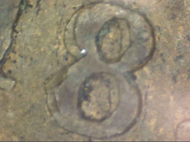 1853-Halfpenny--Repunched?