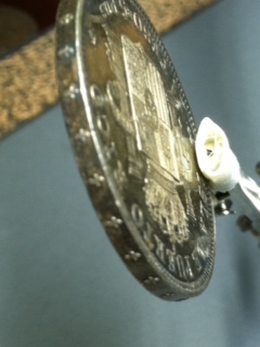 Another-1895-PR-Peso