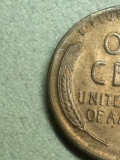 12d-Lincoln--Grading-Opinions