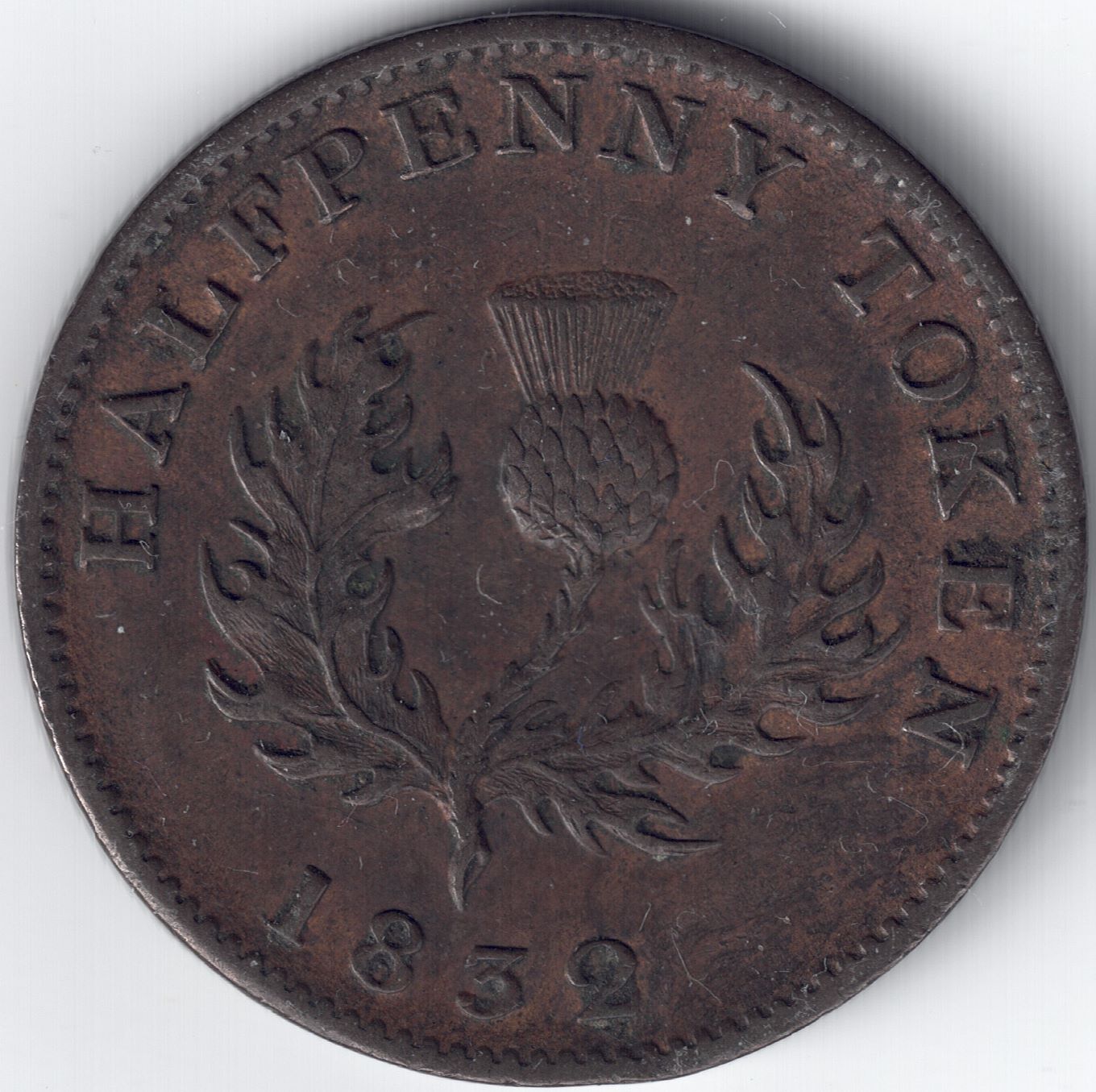 Thistle-Token-Identification