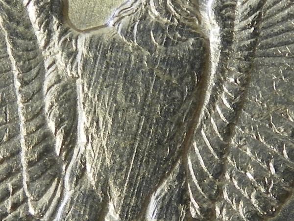 1892-O-Dollar-With-New-Photos-Added