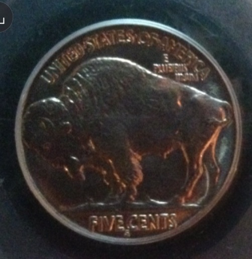 1937-S-Buffalo,-PCGS-Undergraded?