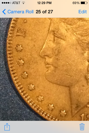 1880-Morgan-Doubled-Denticles