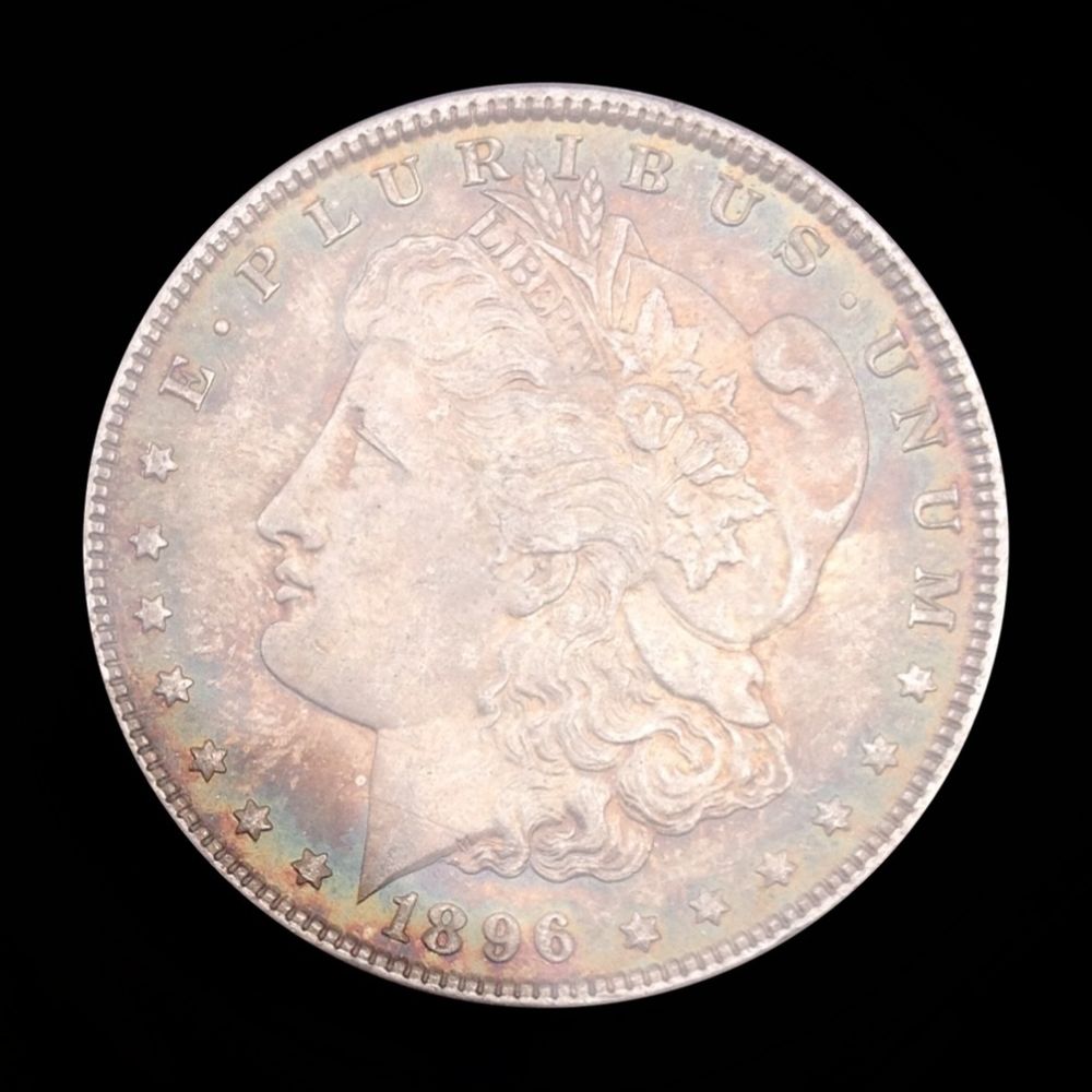 1896-Morgan-You-Vs-PCGS