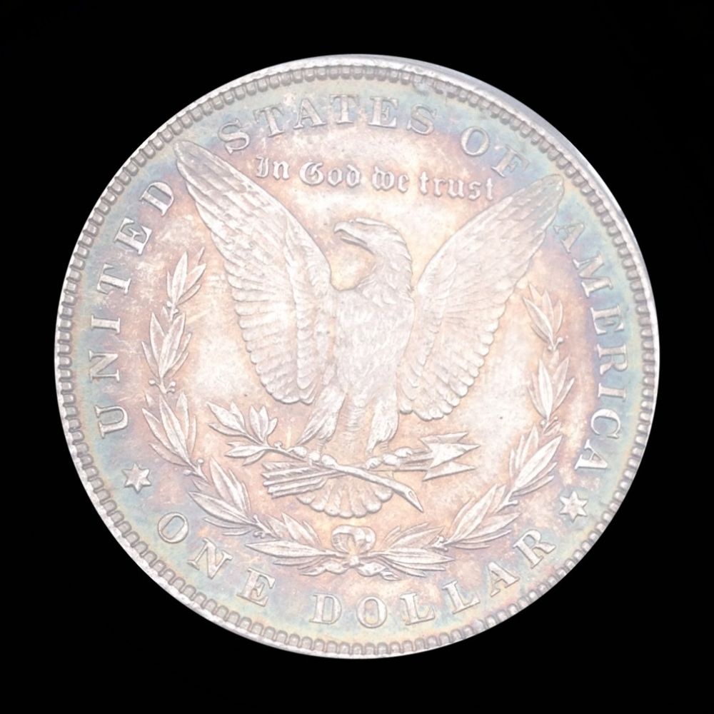 1896-Morgan-You-Vs-PCGS
