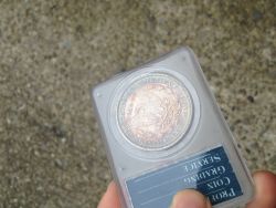1896-Morgan-You-Vs-PCGS