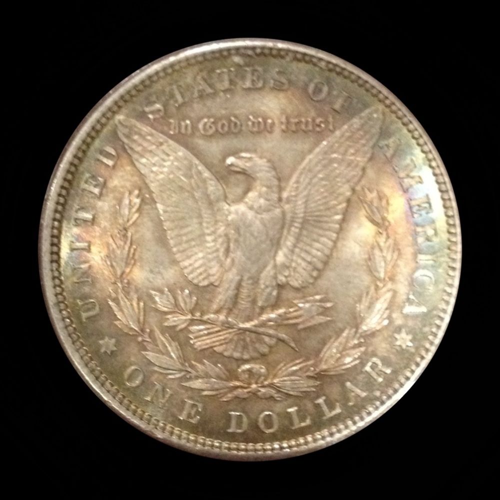 1896-Morgan-You-Vs-PCGS