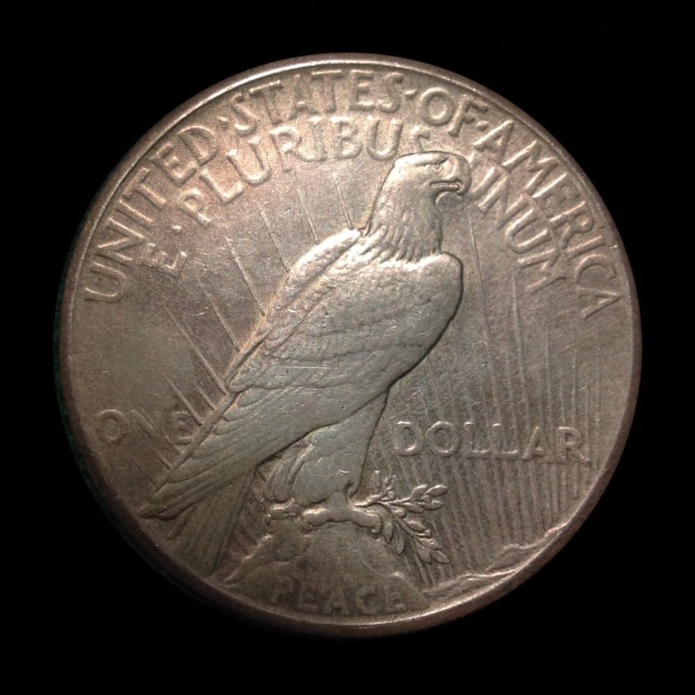 1928-Peace-Dollar-With-Errors?-Help-Novice-Here!
