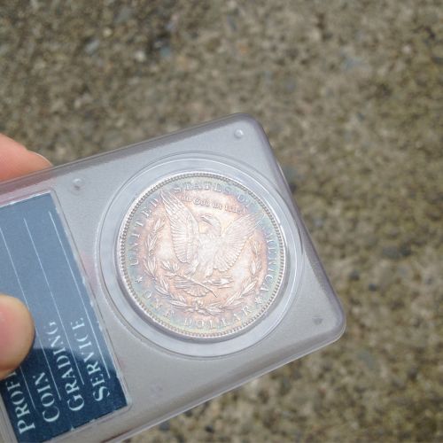 1896-Morgan-Toned-You-Vs-PCGS-OGH-Rattler