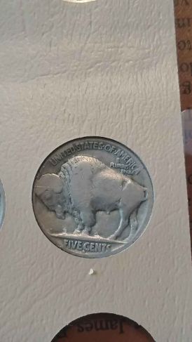 The-23-Days-Of-Buffalo-Nickels-Ii