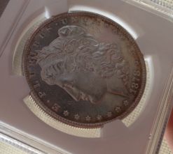 1878-S-Morgan-You-Vs-NGC
