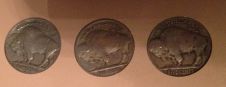 The-23-Days-Of-Buffalo-Nickels-Ii