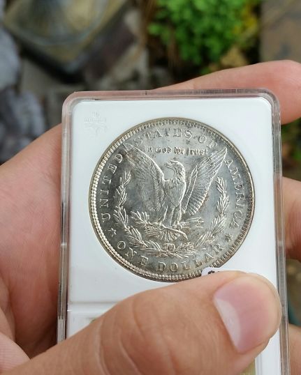 1903-Morgan-Dollar-You-Vs-ANACS-Matchbox