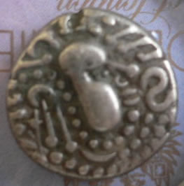 Could-Anyone-Help-Identify-This?-Thanks.-|-